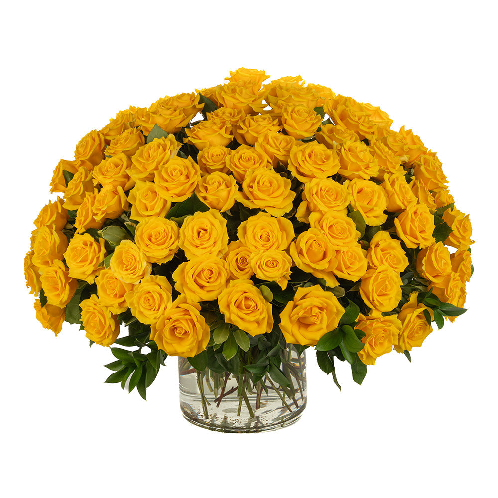 Yellow Roses - Choose a Size