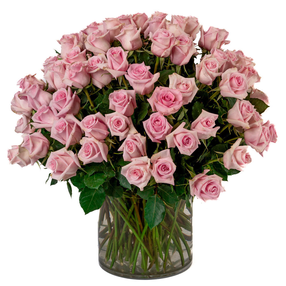 Soft Pink Roses - Choose a Size