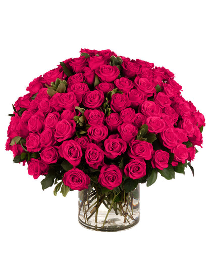 Hot Pink Roses - Choose a Size