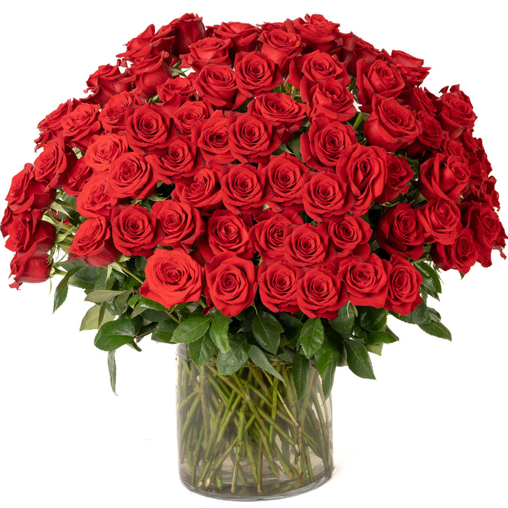 Red Roses - Choose a Size