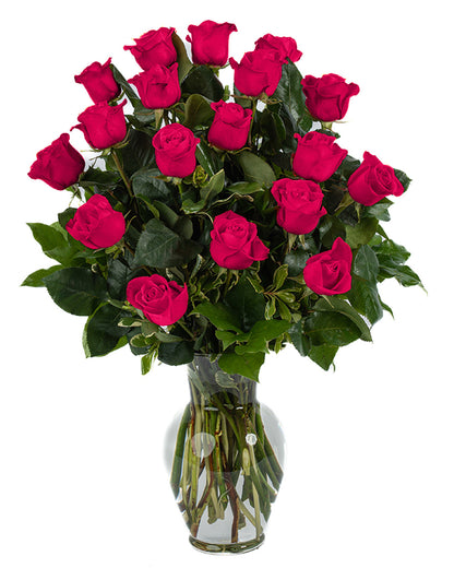 Hot Pink Roses - Choose a Size