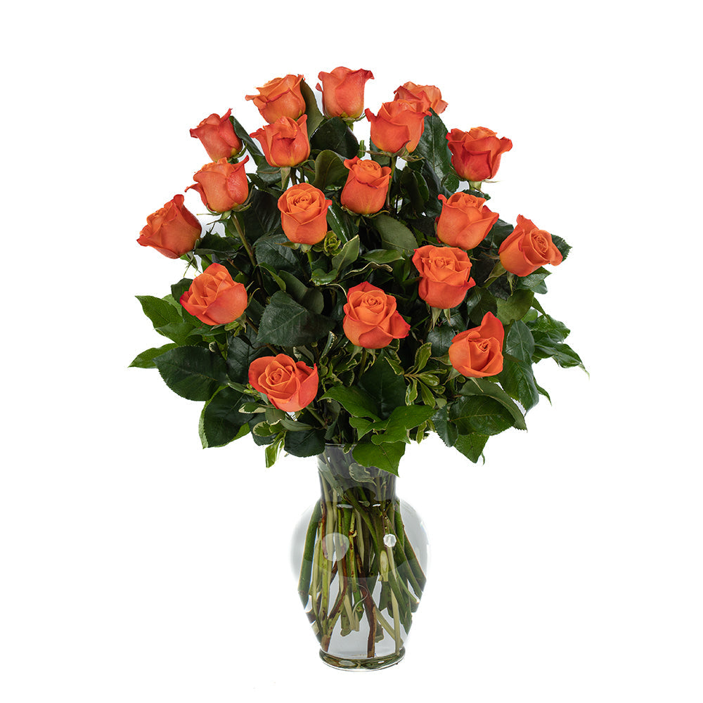 Orange Roses - Choose a Size