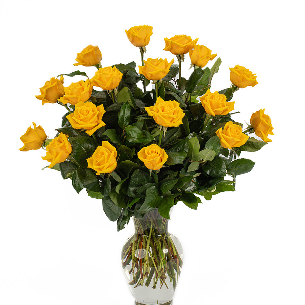 Yellow Roses - Choose a Size