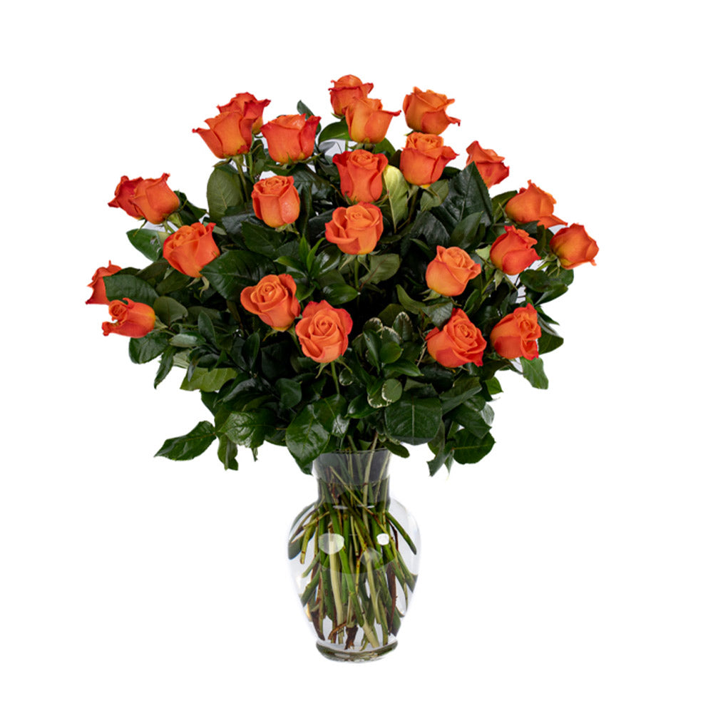 Orange Roses - Choose a Size