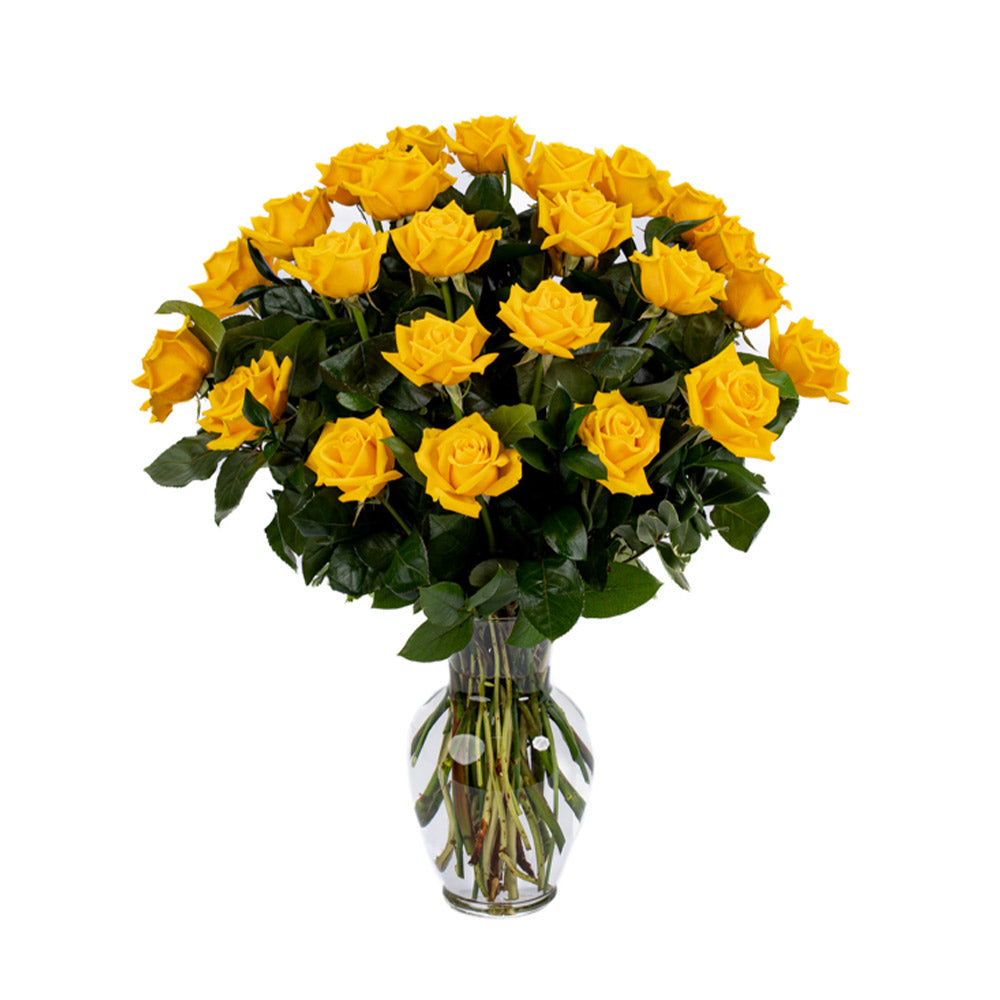 Yellow Roses - Choose a Size