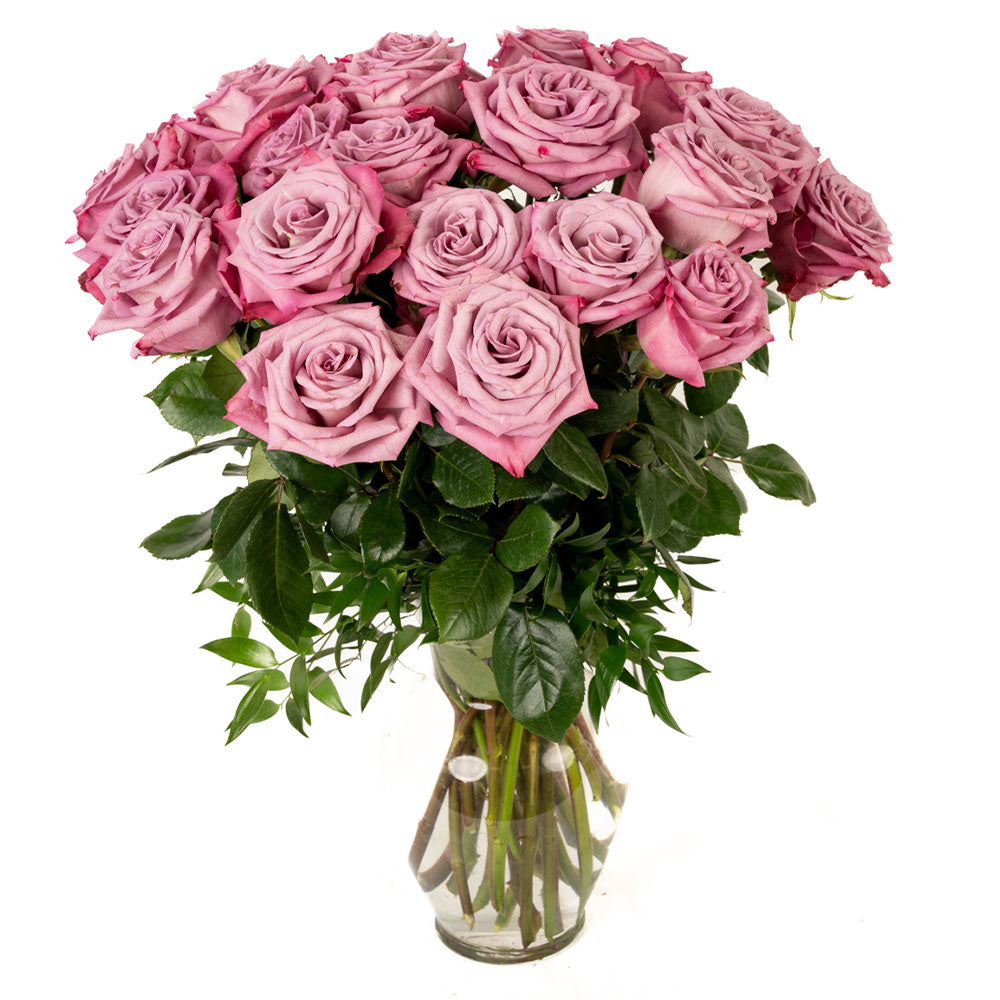Lavender Roses - Choose a Size