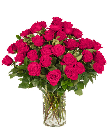 Hot Pink Roses - Choose a Size
