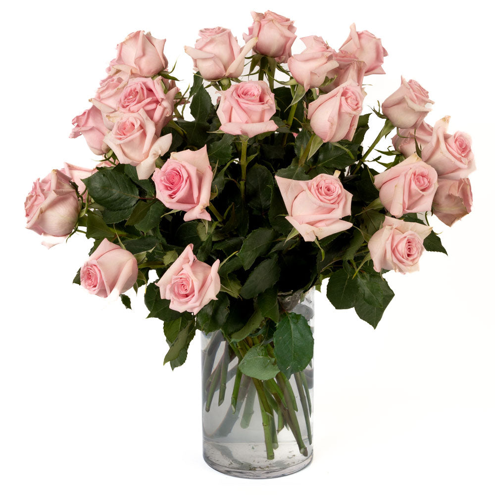 Soft Pink Roses - Choose a Size