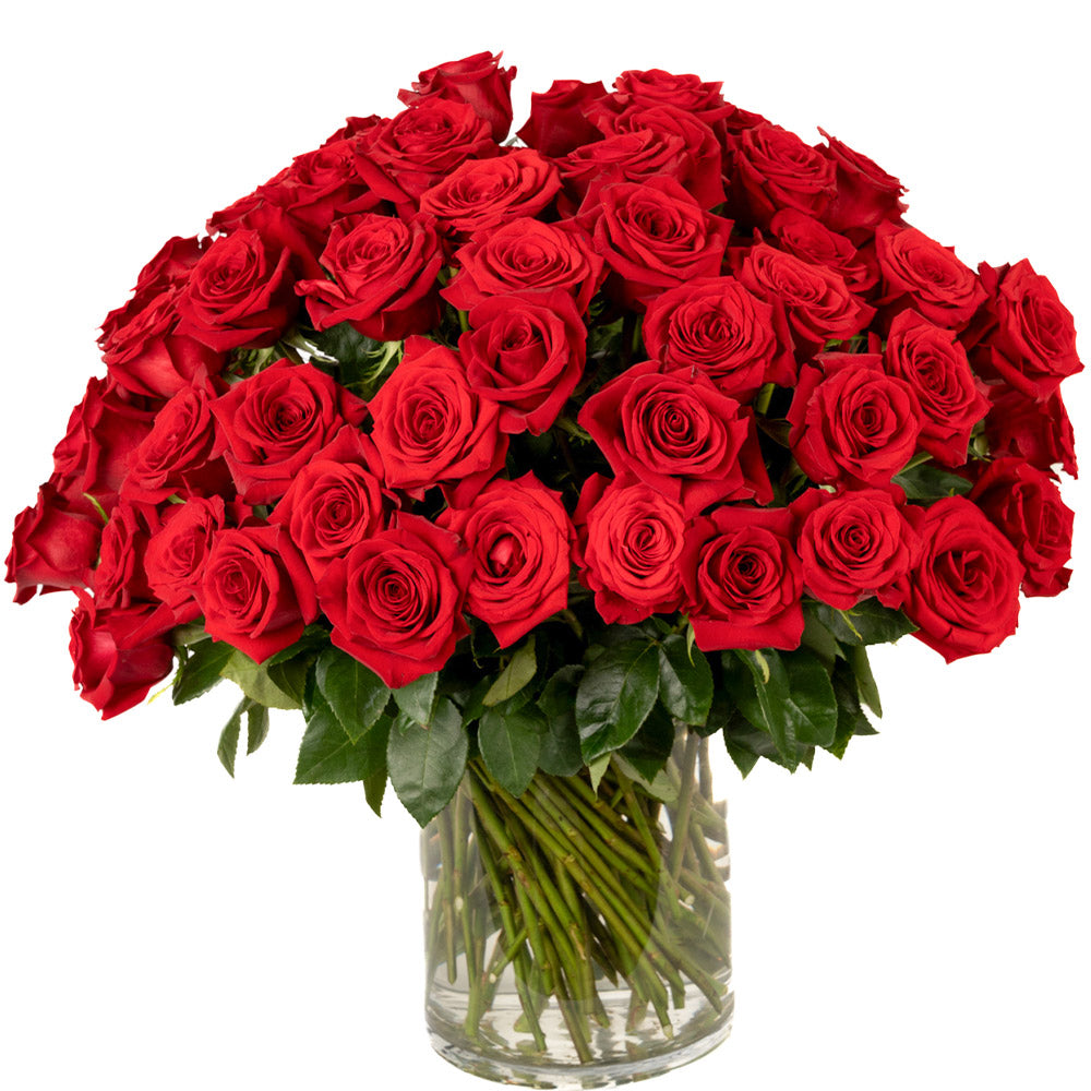 Red Roses - Choose a Size