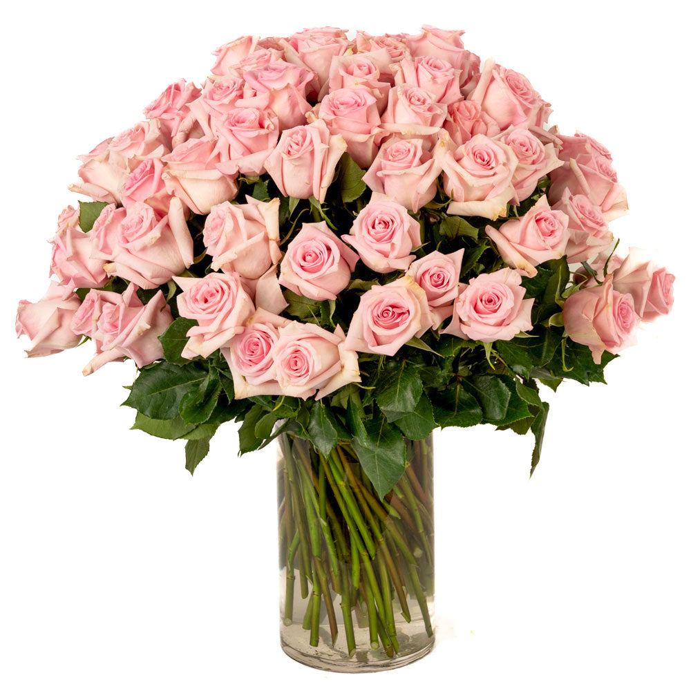 Soft Pink Roses - Choose a Size