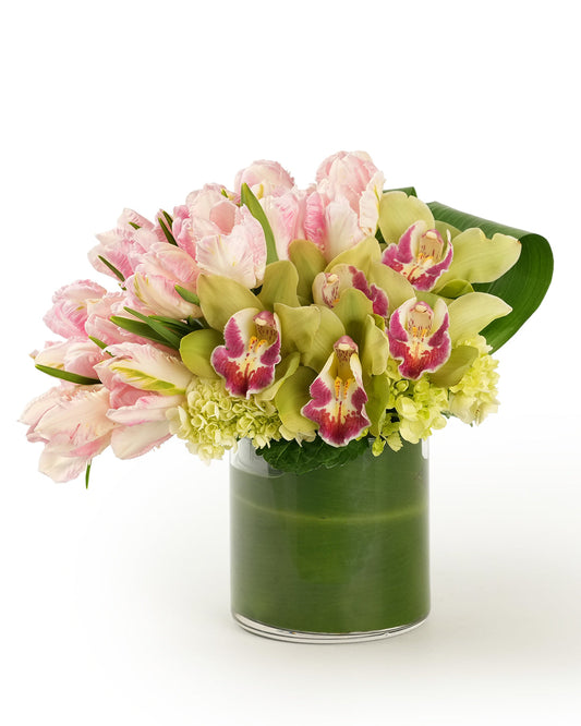 Parrot and Orchid
