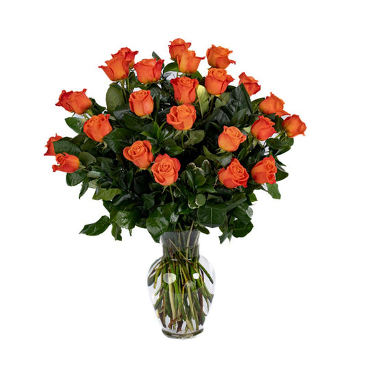 Double the Dozens 12 = 24 Orange Roses