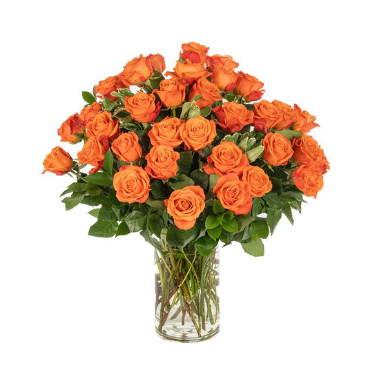 Double the Dozens 18 = 36 Orange Roses