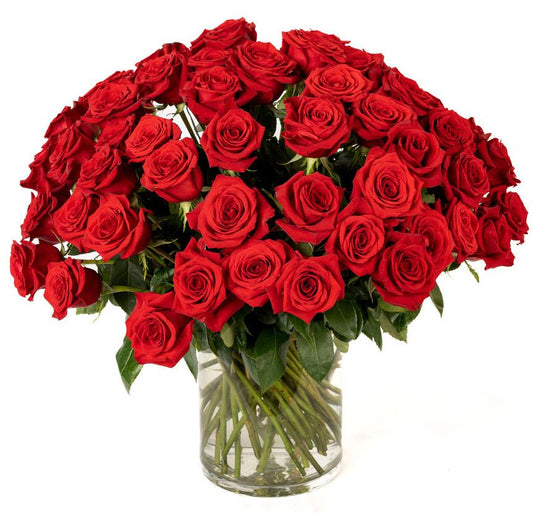Double the Dozens 24= 48 Red Roses