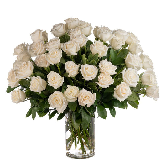 Double the Dozens 24= 48 White Roses
