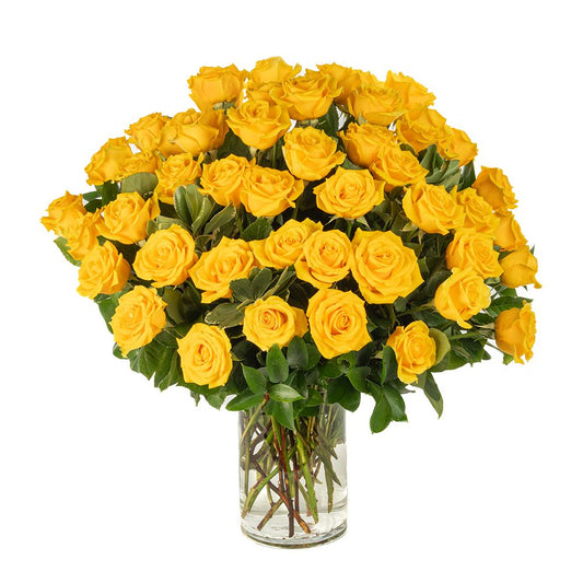 Double the Dozens 24= 48 Yellow Roses