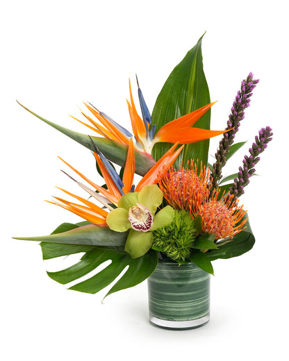 Tropic Delight