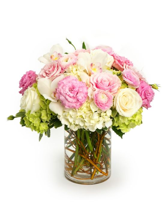 Blush and Bloom