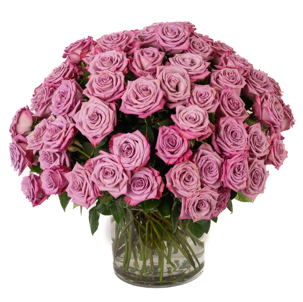 Lavender Roses - Choose a Size