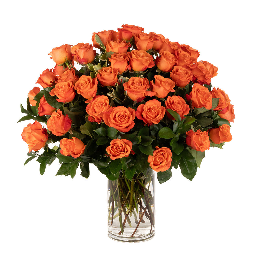 Orange Roses - Choose a Size
