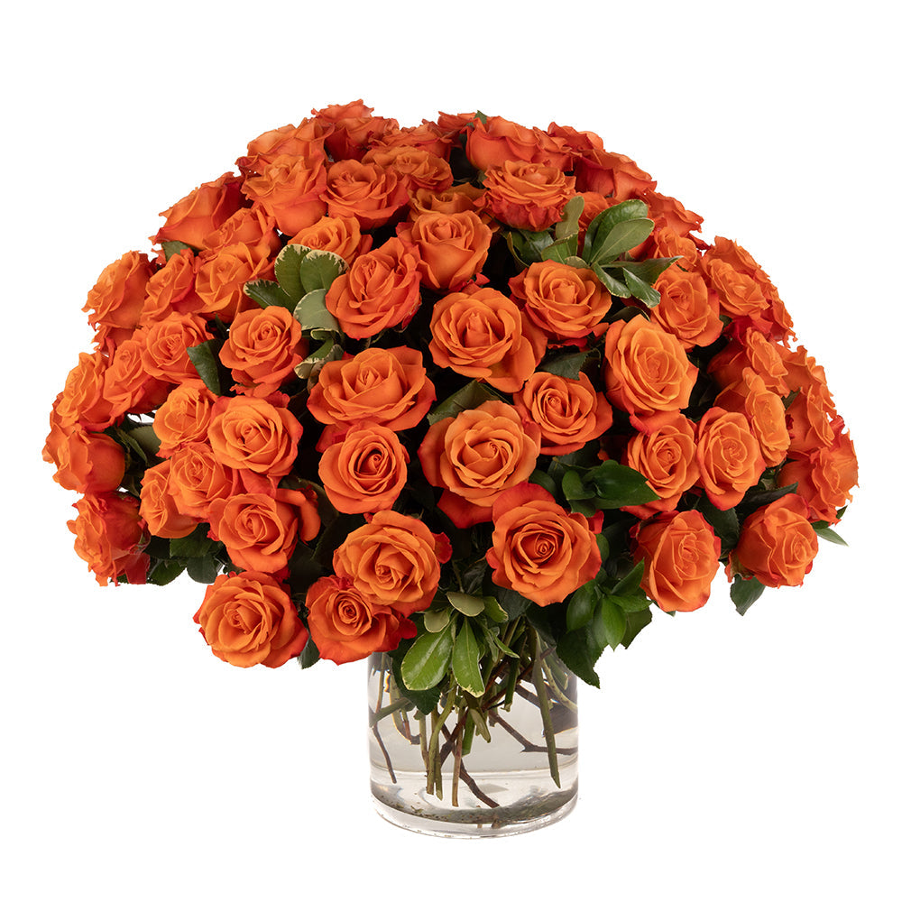Orange Roses - Choose a Size