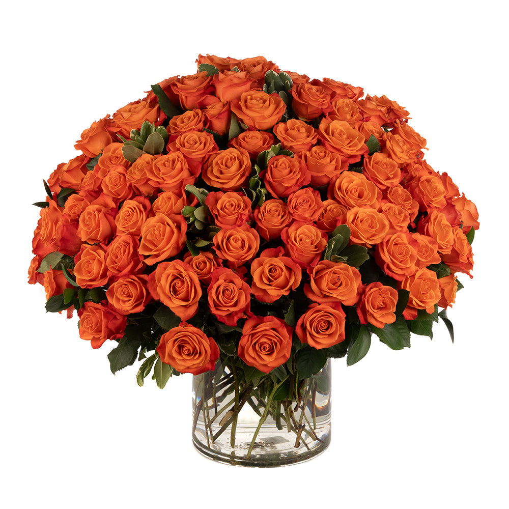 Orange Roses - Choose a Size