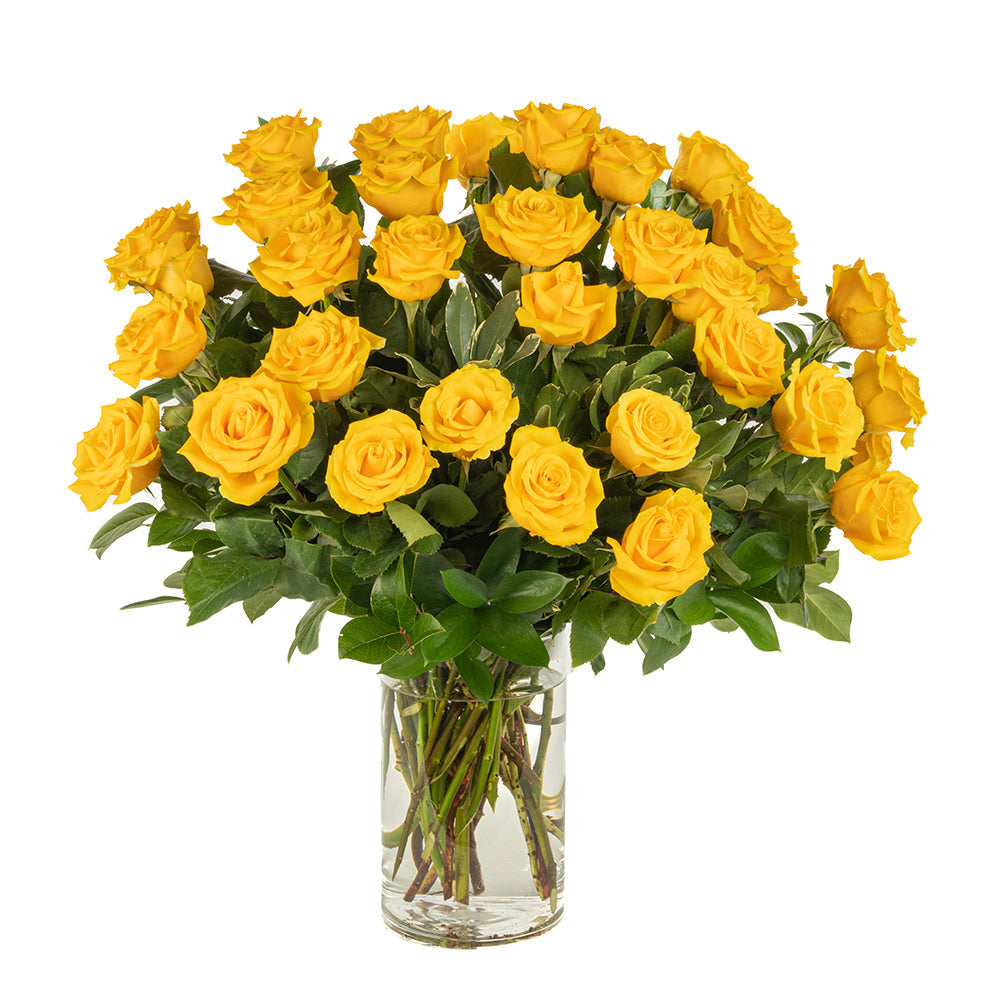 Yellow Roses - Choose a Size