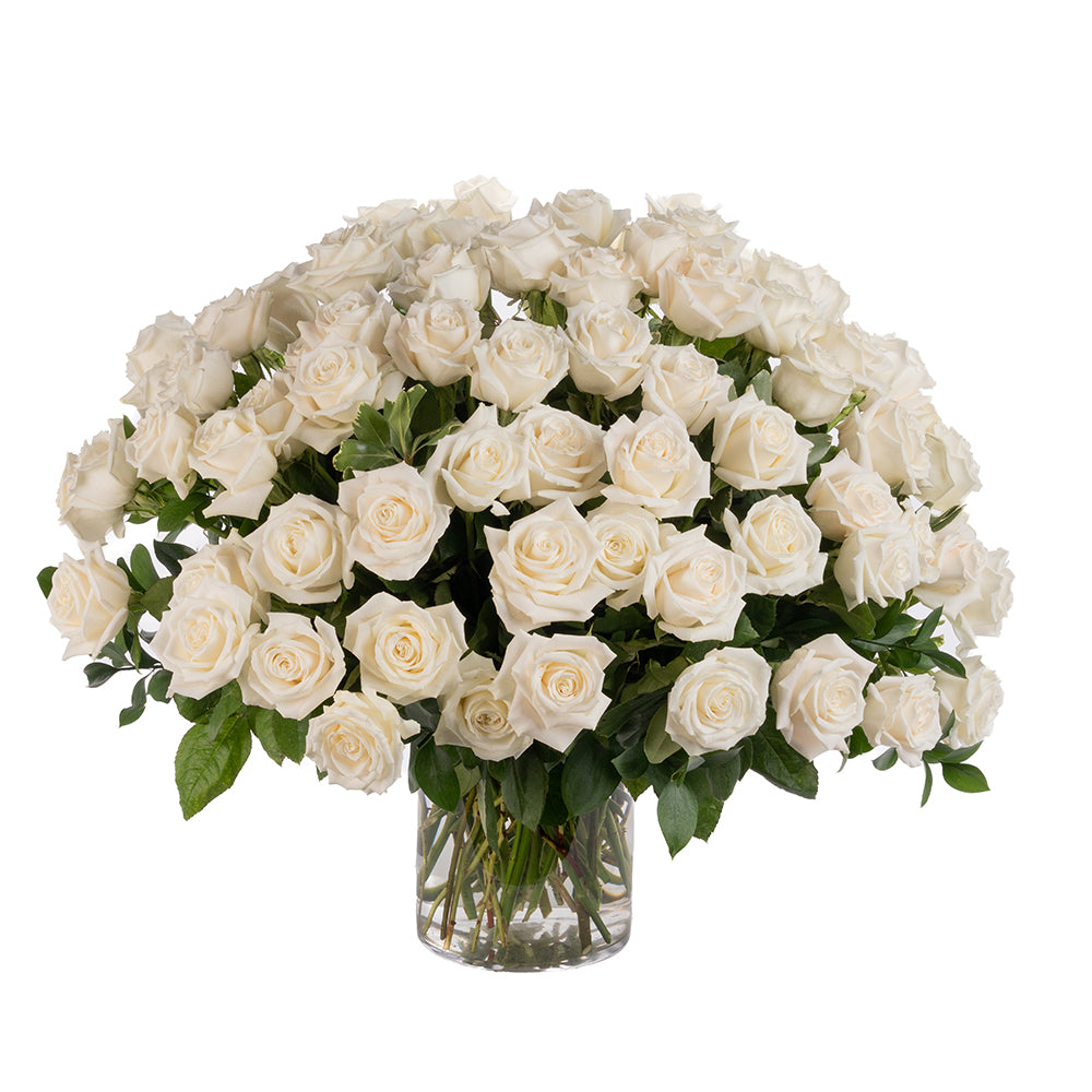 White Roses - Choose a Size