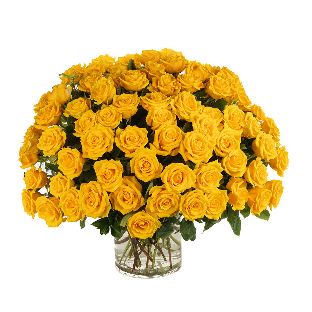 Yellow Roses - Choose a Size