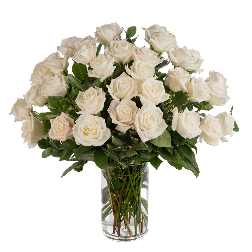 White Roses - Choose a Size
