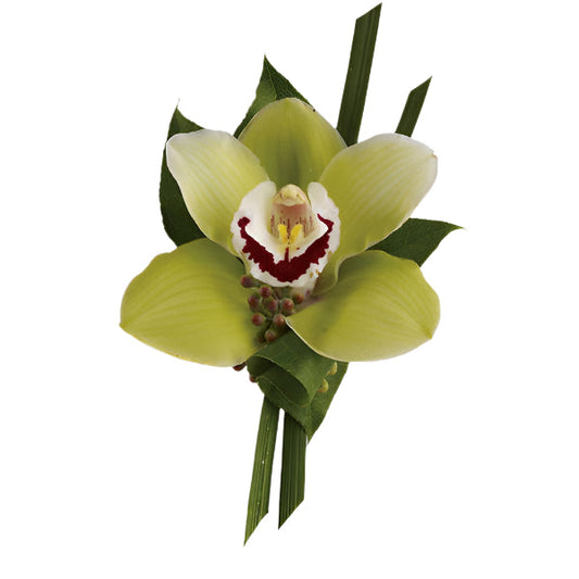 Green Orchid Boutonniere
