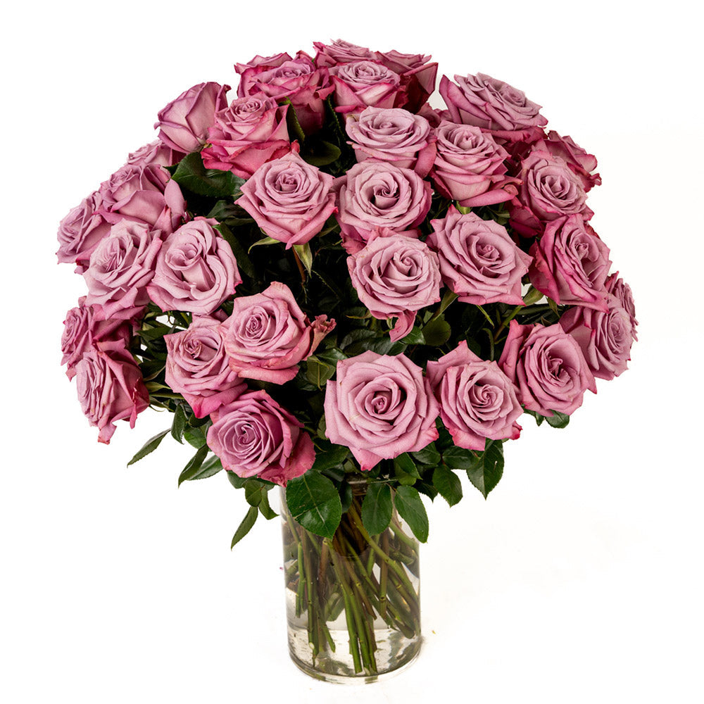 Lavender Roses - Choose a Size