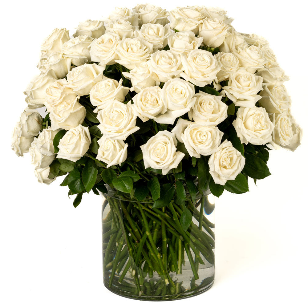 White Roses - Choose a Size