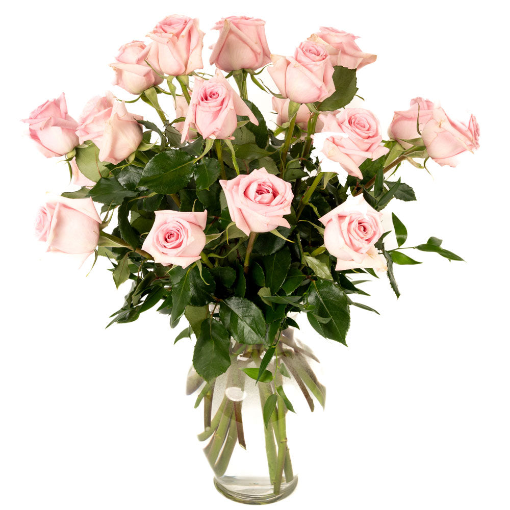 Soft Pink Roses - Choose a Size