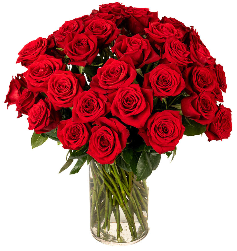 Red Roses - Choose a Size