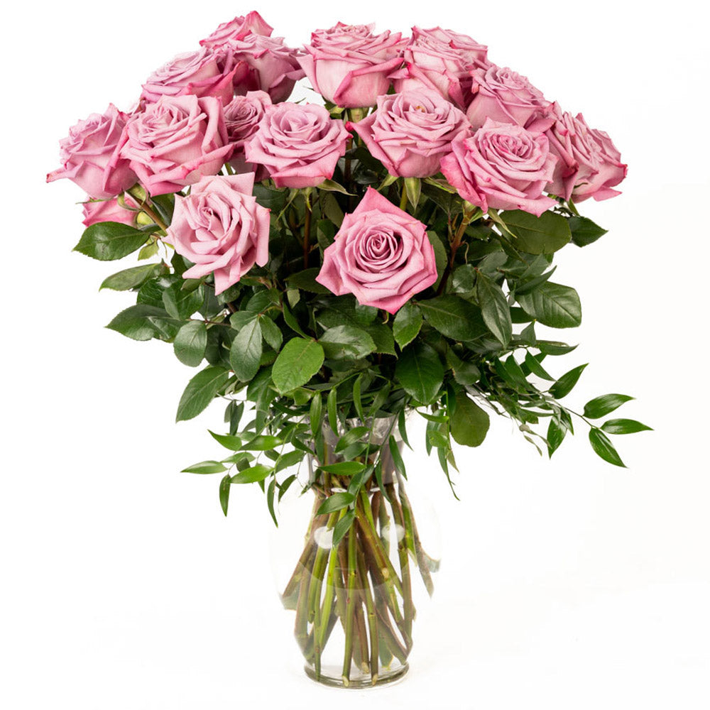 Lavender Roses - Choose a Size